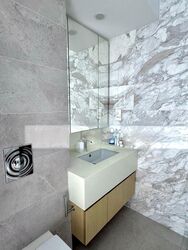 Arthur 118 (D15), Apartment #503129211